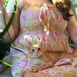 Meet your Posher, Lovelynn!